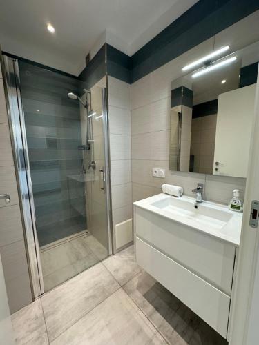 een badkamer met een wastafel en een douche bij Le Vigia in Menton