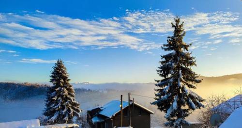 a group of trees and a cabin in the snow at Experience Your Journey with Us 1 in Mexico