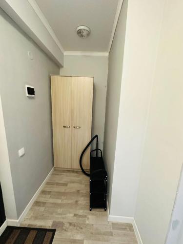 アルマトイにあるУютная квартира недалеко от аэропортаの廊下(木製のドア、スーツケース付)