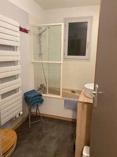 baño con ducha, lavabo y ventana en Appartement rez de jardin expo sud en Saint-Gervais-les-Bains