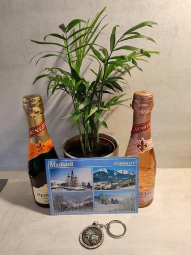 two bottles of wine and a potted plant on a table at Eni-Time Mariazell mit Jakuzzi und Sauna in Mariazell