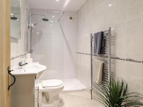 uma casa de banho com um WC, um lavatório e um chuveiro em Gwel Y Môr em Beaumaris