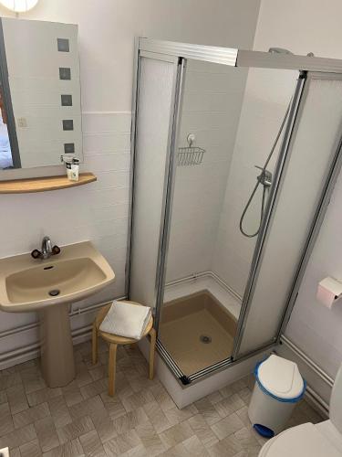 une salle de bain avec douche et lavabo dans l'établissement La Foret De Maronne, à La Garde