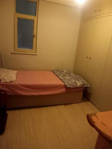 Легло или легла в стая в Efehause