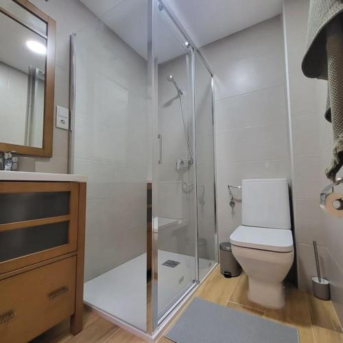 Koupelna v ubytování APARTAMENTO SANTA POLA ZONA CLUB NAUTICO PISCINA COMUNITARIa 3