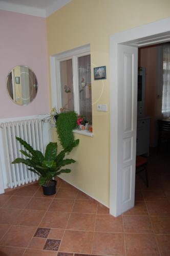 a hallway with a plant and a window at Guest house Hošek in Senorady