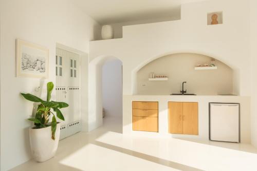 a white kitchen with a potted plant in the middle at Sirius Villa Skalia in Skaliá
