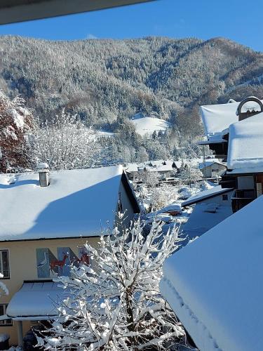 a tree covered in snow on top of buildings at Ferienwohnungen Schneiderhäusl inkl. Chiemgaukarte in Ruhpolding