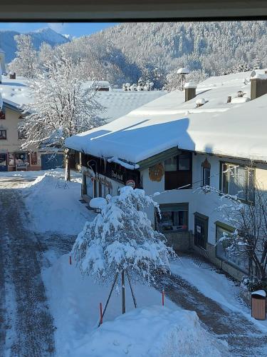 a house covered in snow with a tree in front at Ferienwohnungen Schneiderhäusl inkl. Chiemgaukarte in Ruhpolding