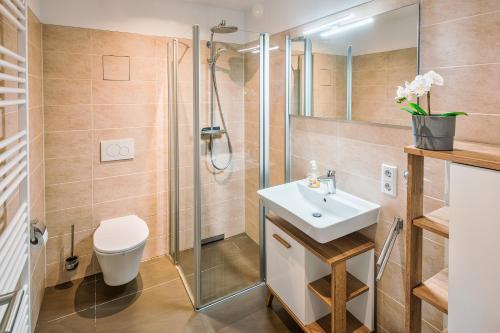 a bathroom with a shower and a sink and a toilet at Nagelneues Studio in der Hafencity an der Elbe in Dresden