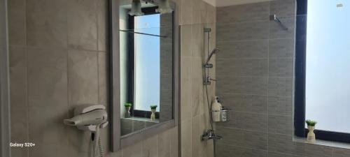 bagno con doccia e specchio di Apartament Lucian a Râmnicu Vâlcea