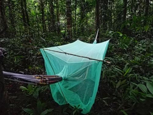 Φωτογραφία από το άλμπουμ του Hostal Búho Amazonas tours σε Leticia