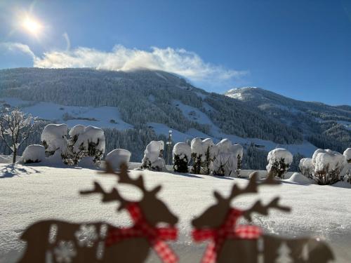 a view from the top of a snow covered mountain at Haus Schmetterling in Alpbach