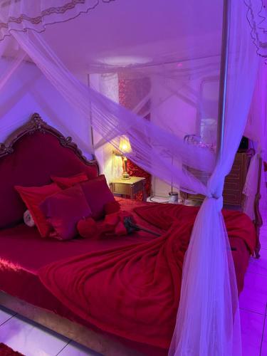 a bedroom with a red bed with a canopy at Suite romantique avec jaccuzy à la gare de Montpellier in Montpellier