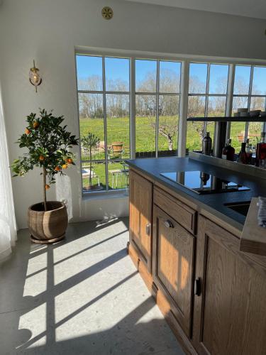 a kitchen with a table and a potted plant in a room at Ekenäs Gård på Österlen in Kivik