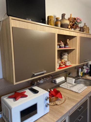 Una encimera de cocina con un microondas y un fregadero. en Casa Printre gradini, en Brasov