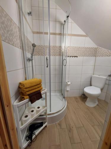 een badkamer met een douche en een toilet bij Zwardoniówka Apartamenty pod Orawcową in Zwardoń