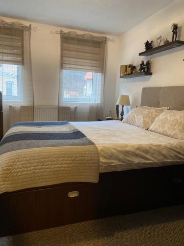 1 cama grande en un dormitorio con 2 ventanas en Casa Printre gradini, en Brasov