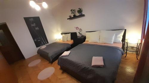 プラハにあるSpacious 3BDR Wenceslas Squareのベッドルーム1室(ツインベッド2台付)