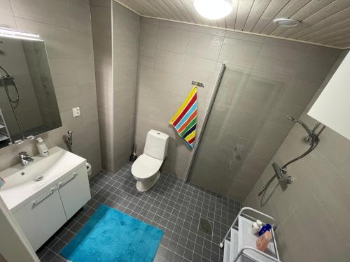 a bathroom with a shower toilet and a rainbow shower curtain at Kolme Kiveä in Rovaniemi