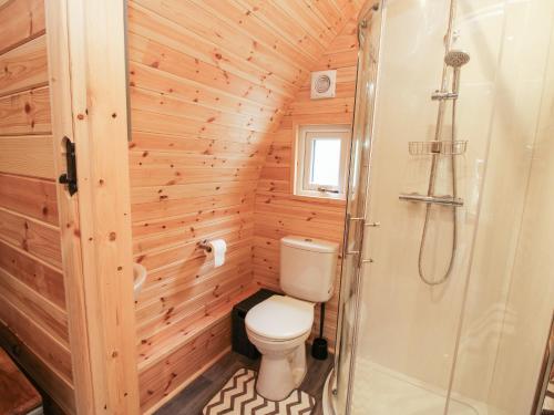 a small bathroom with a toilet and a shower at The Pod in Shrewsbury