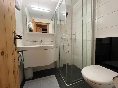 a bathroom with a toilet and a sink and a shower at Chesa La Furia in Pontresina