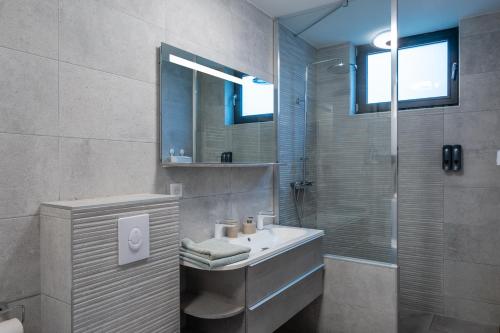 a bathroom with a sink and a shower at Appartement Cosy Jardin et Terrasse in Strasbourg