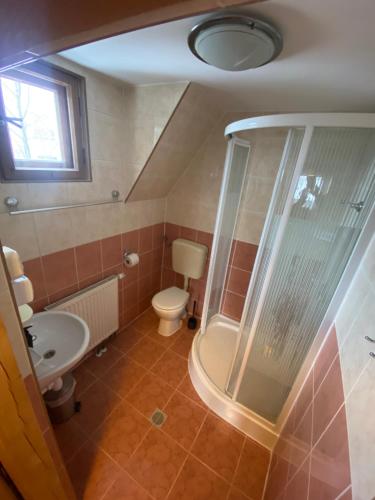 a bathroom with a shower and a toilet and a sink at Bukovina Concept Mountain in Bukowina Tatrzańska