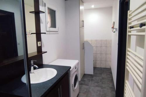une salle de bain avec un lavabo et une machine à laver dans l'établissement Chalet cosy en centre-ville, au Puy-en-Velay