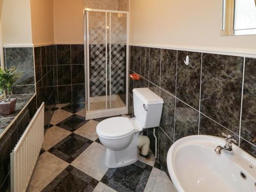 uma casa de banho com um WC, um chuveiro e um lavatório. em Alcorns Farmhouse em Letterkenny