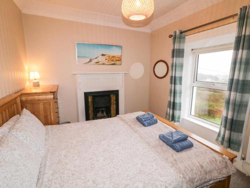 ein Schlafzimmer mit einem Bett und einem Kamin in der Unterkunft Alcorns Farmhouse in Letterkenny