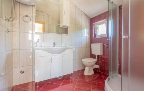 e bagno con servizi igienici, lavandino e doccia. di Beautiful Home In Konjsko With Outdoor Swimming Pool a Konjsko