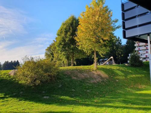 a tree sitting on top of a grass field at Ferienwohnung Winklworld 2 mit Hallenbad und Sauna inklusive aktivCARD in Sankt Englmar
