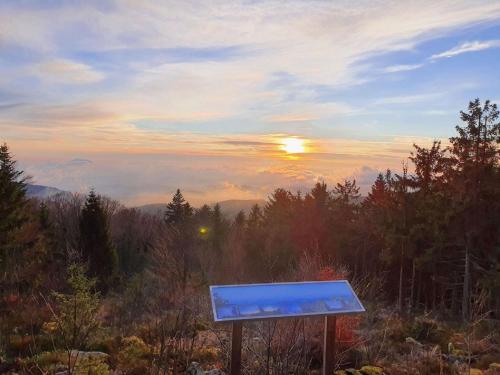 a sign in the woods with the sunset in the background at Ferienwohnung Winklworld 2 mit Hallenbad und Sauna inklusive aktivCARD in Sankt Englmar