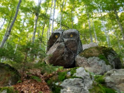 a rock formation in the middle of a forest at Ferienwohnung Winklworld 2 mit Hallenbad und Sauna inklusive aktivCARD in Sankt Englmar