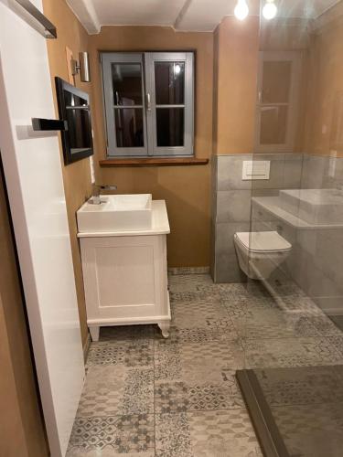 un bagno con lavandino e WC di Schöneberger Bauernhof - Hühnerhaus a Schöneberg