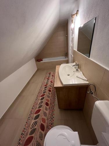 een badkamer met een wastafel en een toilet bij Cozy Apartment in Gălăuţaş