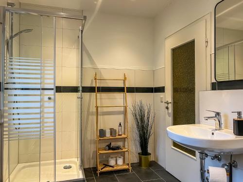 a bathroom with a sink and a shower at Kokomani Living Wetzlar in Wetzlar