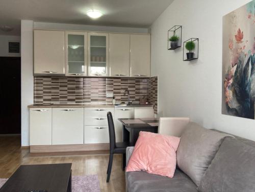 een woonkamer met een bank en een keuken bij Alacaster G apartman in Novi Sad