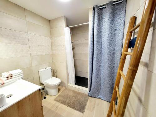 uma casa de banho com um WC e um chuveiro em Le dodo bleu em Saint-Pierre