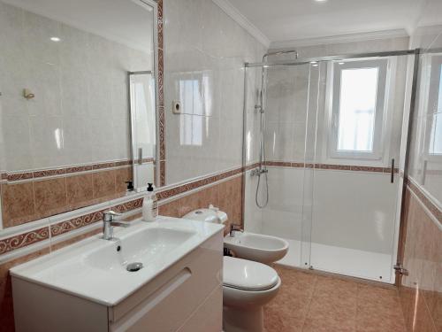 y baño con lavabo, aseo y ducha. en Apartamentos Maria, en Málaga