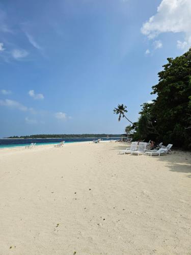 a beach with white lounge chairs and a palm tree at Madi Giri Guest House in Maalhos