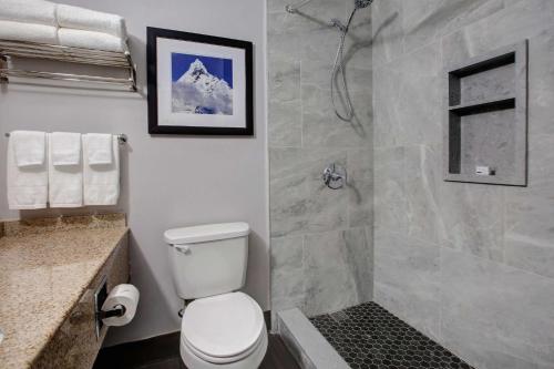 a bathroom with a toilet and a walk in shower at Days Inn by Wyndham Barrie in Barrie