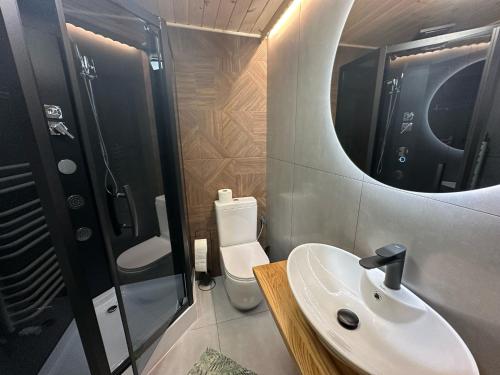 a bathroom with a sink and a toilet and a mirror at Pienińska Willa Aleksandrówka in Szczawnica