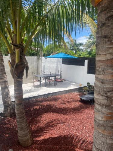 a patio with a table and a palm tree at Villa Albizia 974 avec piscine et spa in Saint-Pierre