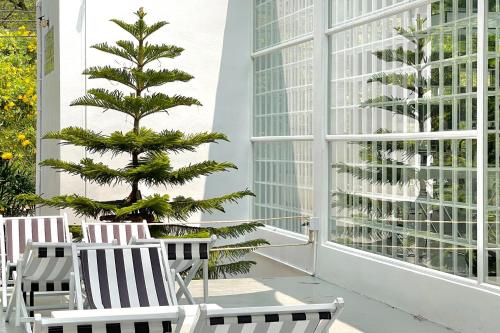 a christmas tree on a balcony with two chairs and a pine tree at It my life cafe x camp in Ban Tha Sai