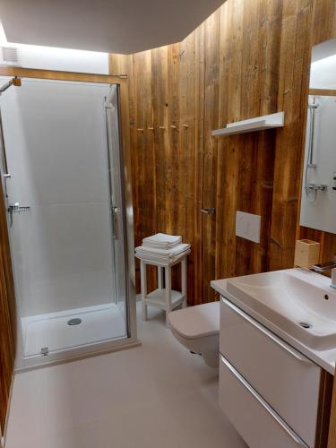 a bathroom with a shower and a toilet and a sink at Chochołowska Zagroda in Chochołów
