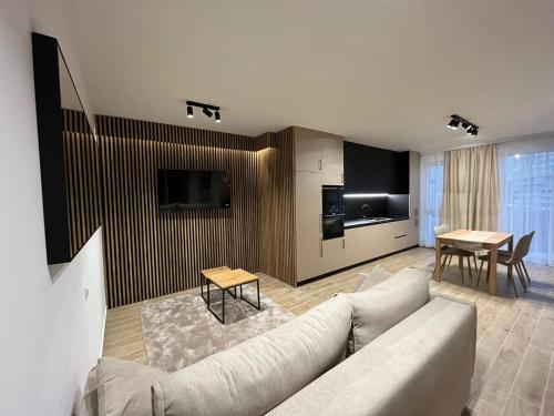 TV a/nebo společenská místnost v ubytování New Transilvania Luxury