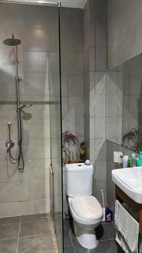 ein Bad mit einer Dusche, einem WC und einem Waschbecken in der Unterkunft Permai Oasis in Tanjung Bungah