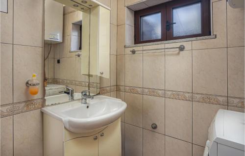 塞薩里卡的住宿－Cozy Home In Cesarica With Kitchen，一间带水槽和镜子的浴室